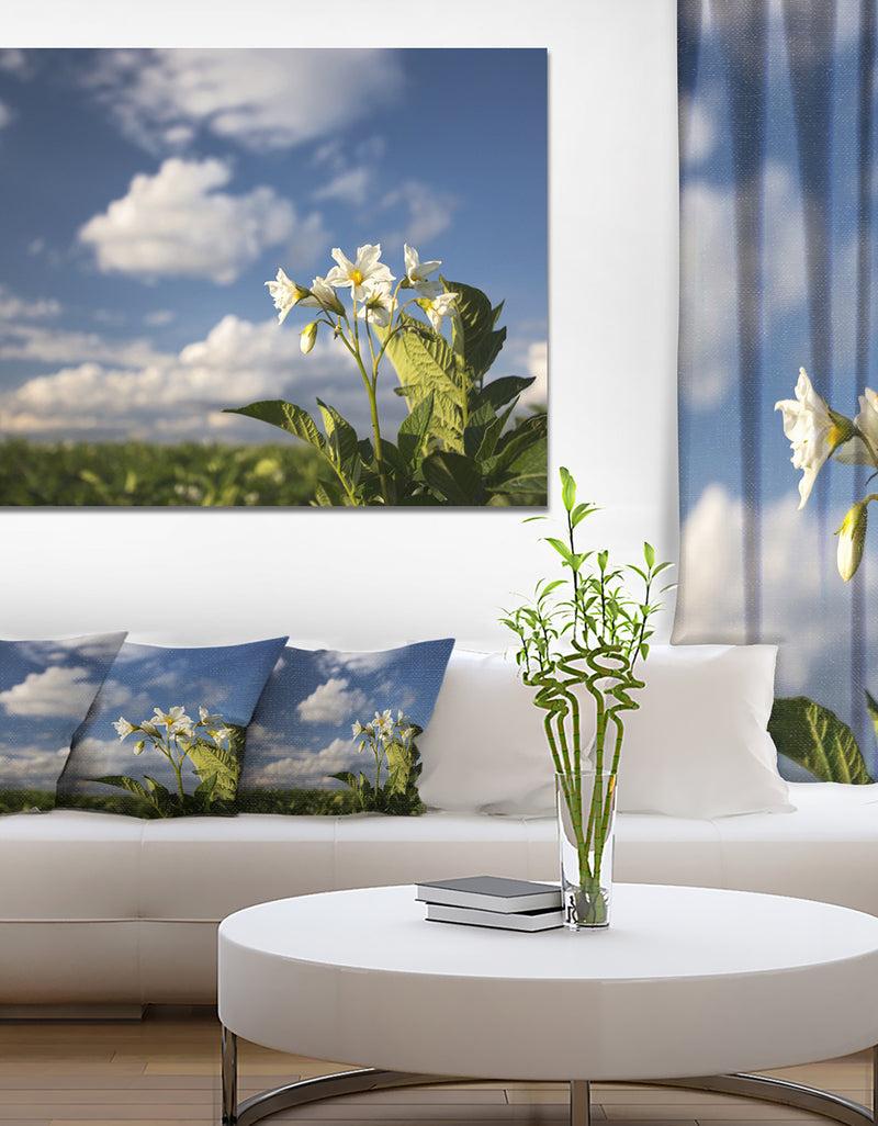 DesignQ Potato Plant Flowers - Landscape Wall Artwork