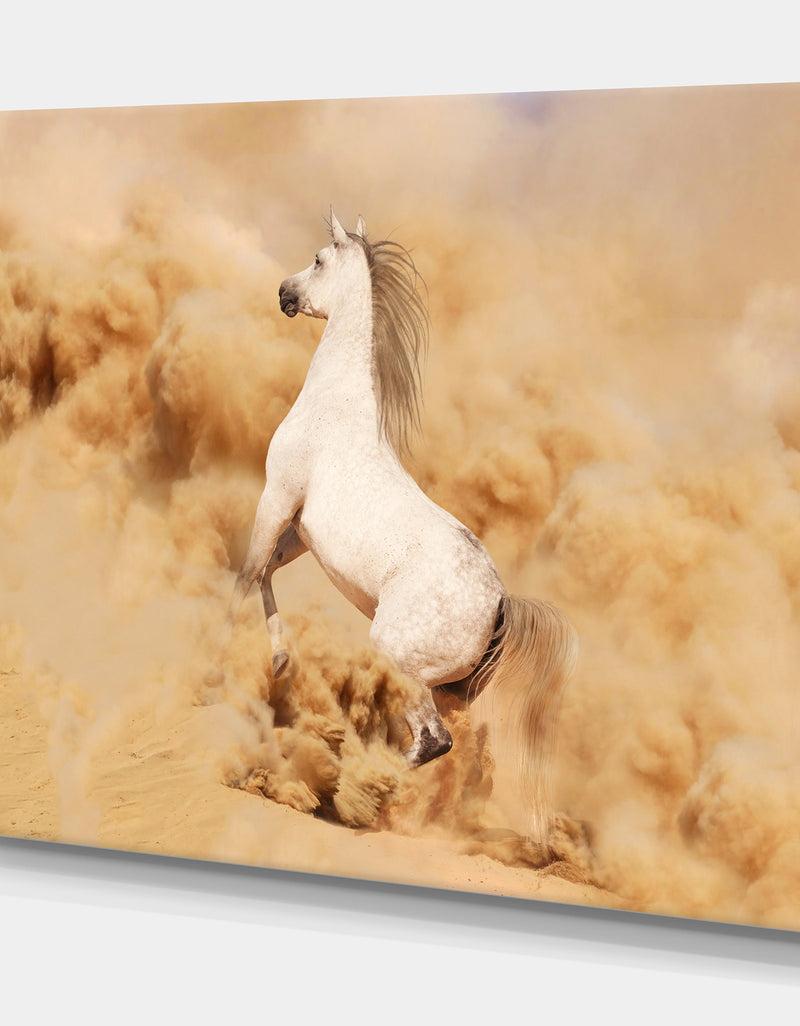 DesignQ Purebred White Arabian Horse In Desert - Farmhouse Animals Photographic On Wrapped Canvas