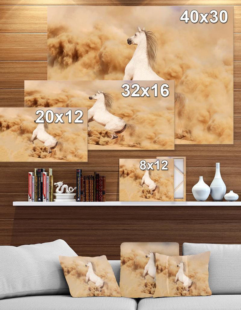 DesignQ Purebred White Arabian Horse In Desert - Farmhouse Animals Photographic On Wrapped Canvas