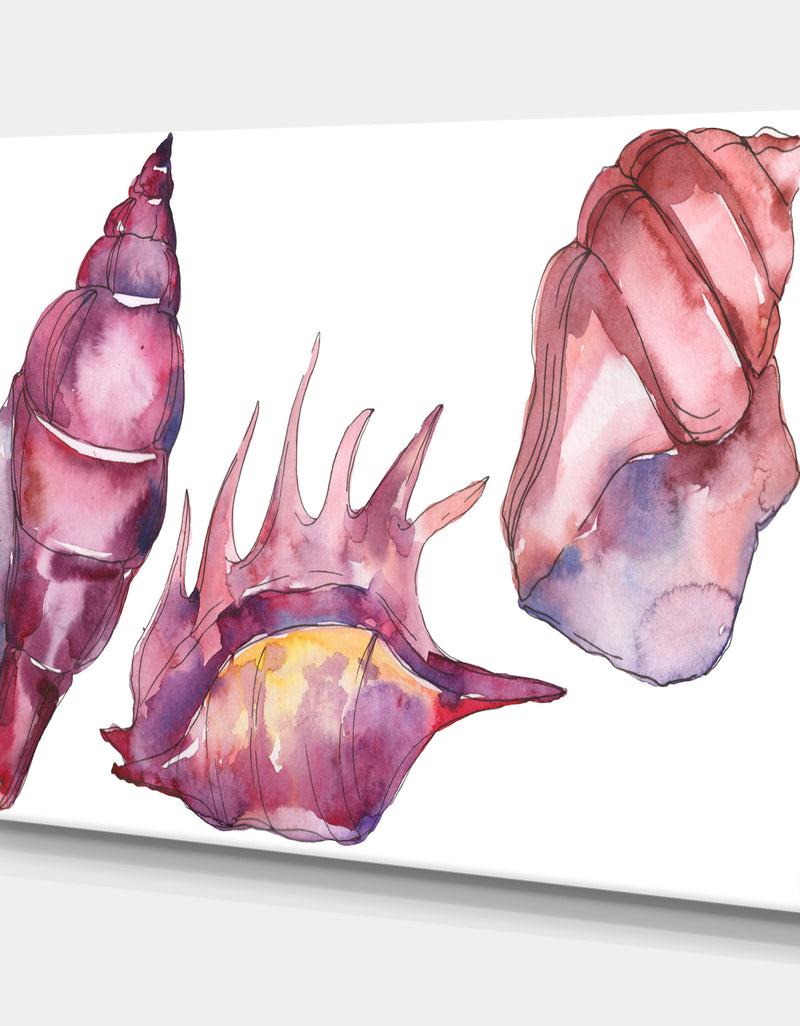 DesignQ Purple Marine Tropical Seashell L - Cottage Canvas Wall Art