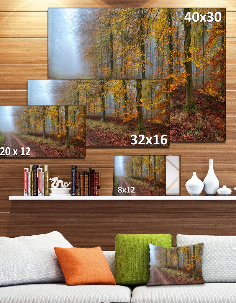 DesignQ Raising Sun In Fall Forest Panorama - Large Forest Canvas Art
