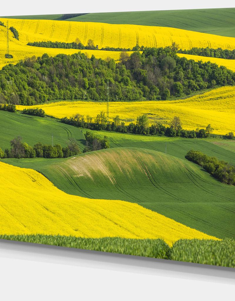 DesignQ Rapeseed Fields And Green Wheat - Modern Landscpae Wall Art