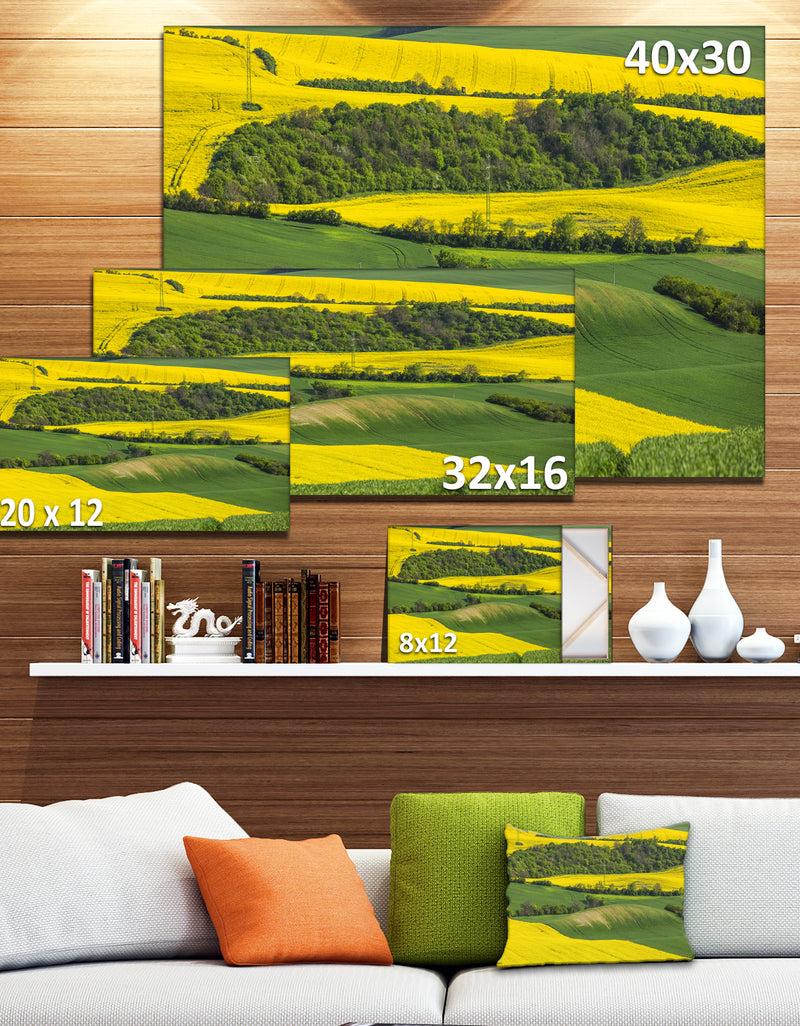 DesignQ Rapeseed Fields And Green Wheat - Modern Landscpae Wall Art