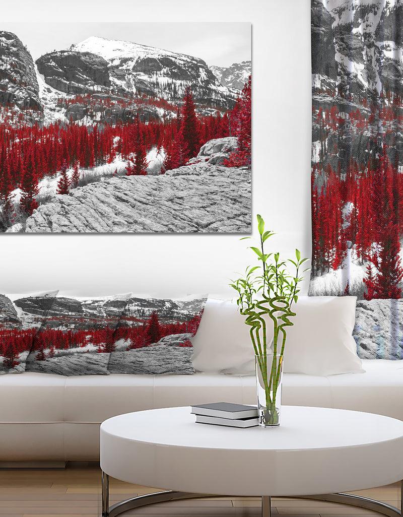 DesignQ Red Forest in Colorado Rocky Mountains - Floral Landscapes Photographic on wrapped Canvas