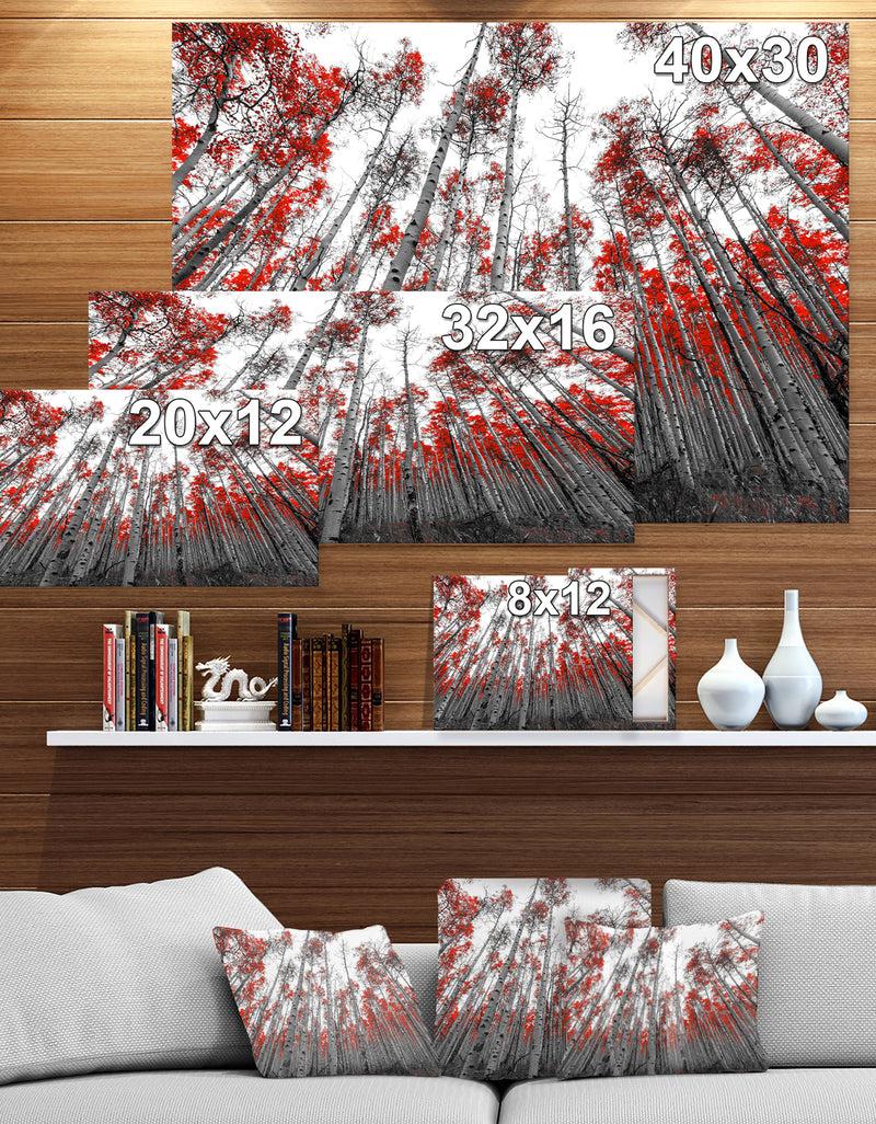 DesignQ Red Leaf Trees In Tall Forest - Floral Landscapes Photographic On Wrapped Canvas