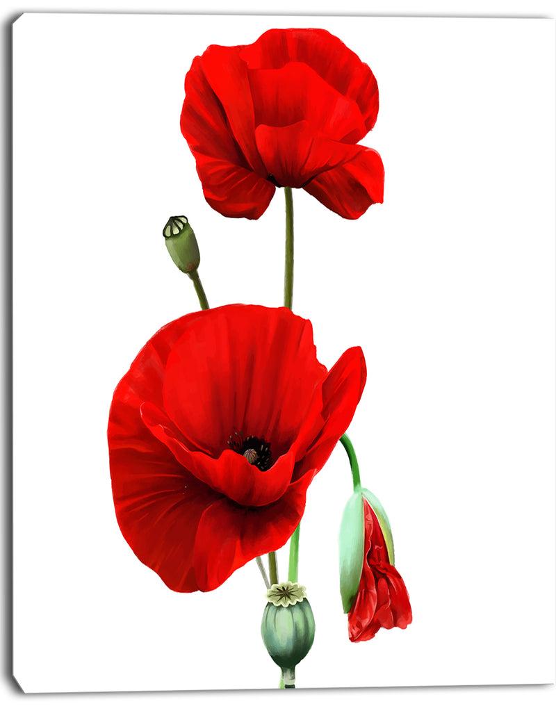 DesignQ Red Poppies On White Background - Floral Canvas Artwork Print