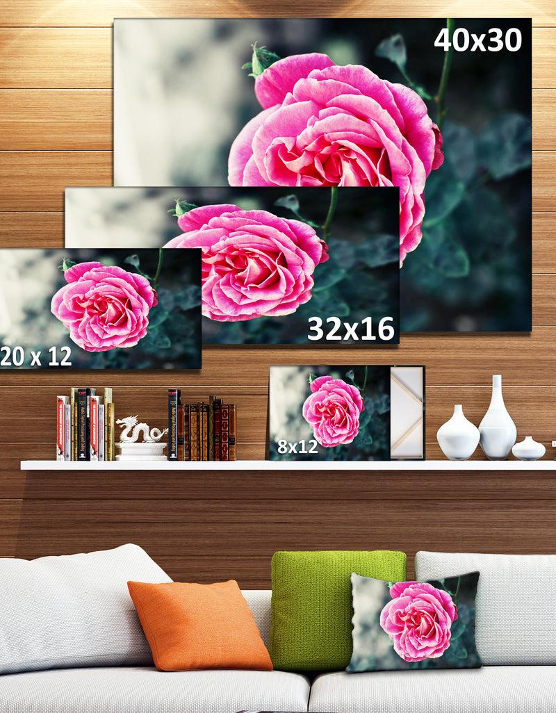 DesignQ Red Rose In Vintage Style - Floral Digital Art Canvas Print