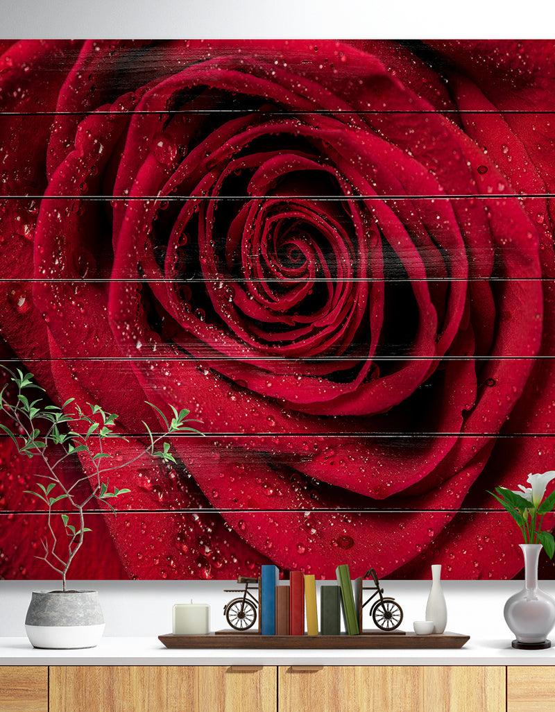 DesignQ Red Rose Petals with Rain Droplets - Floral Art Print on Natural Pine Wood