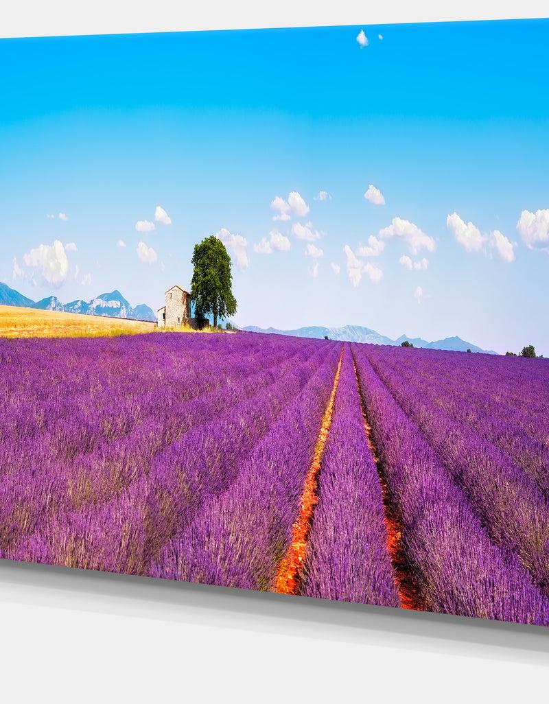 DesignQ Remote House And Tree In Lavender Field - Oversized Landscape Wall Art Print