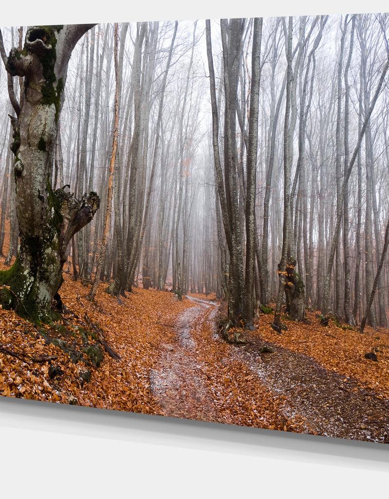 DesignQ Road Covered By Fallen Leaves - Modern Forest Canvas Art