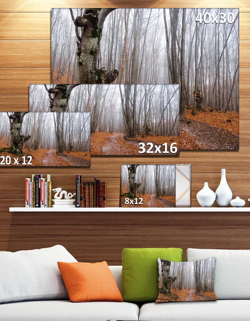 DesignQ Road Covered By Fallen Leaves - Modern Forest Canvas Art