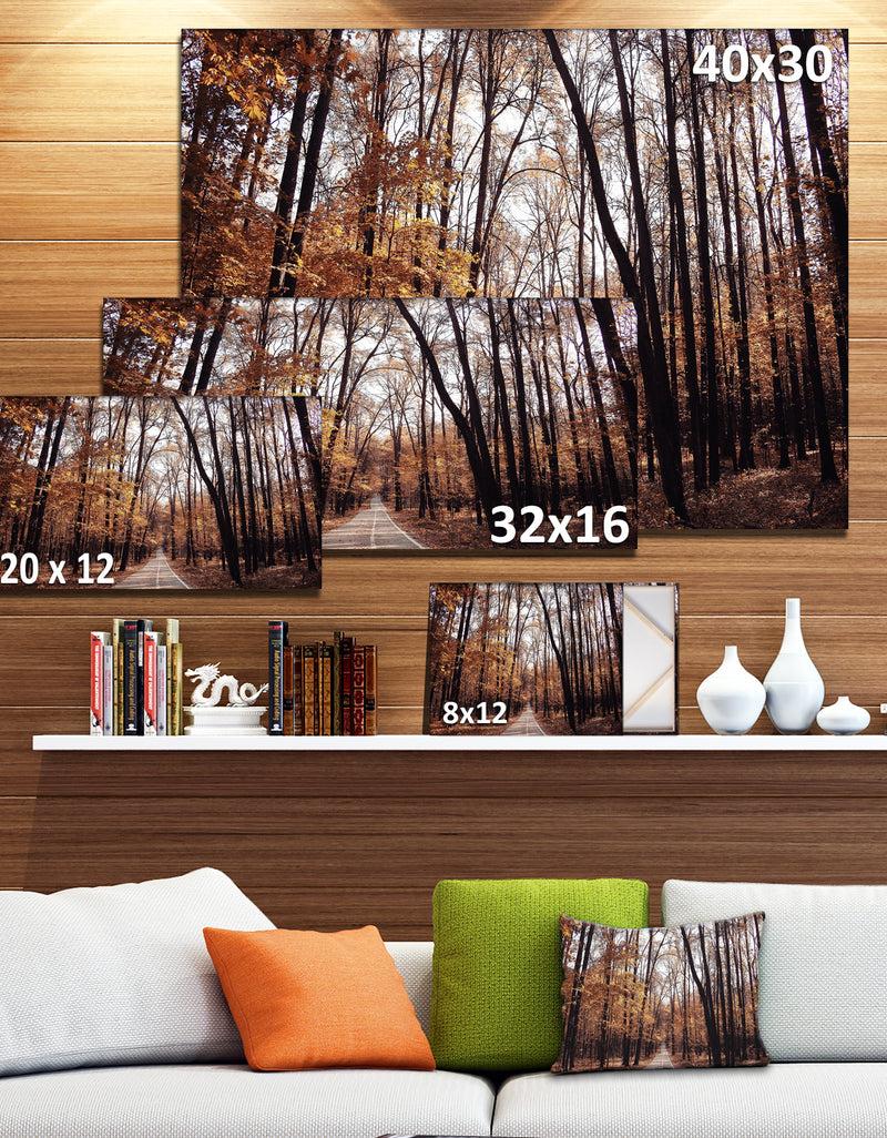 DesignQ Road In Autumn Golden Forest - Large Forest Canvas Art