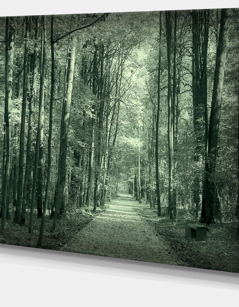 DesignQ Road In Dark Autumn Forest - Modern Forest Canvas Art
