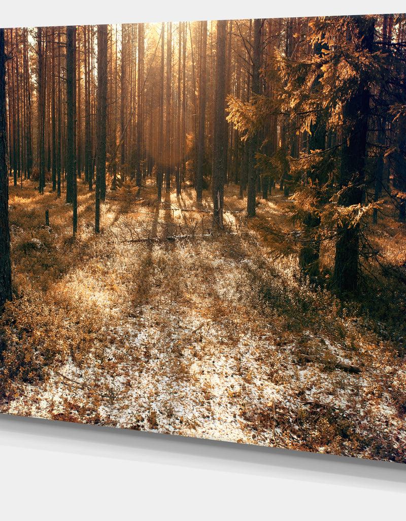 DesignQ Road In Dark Wooded Forest - Modern Forest Canvas Art