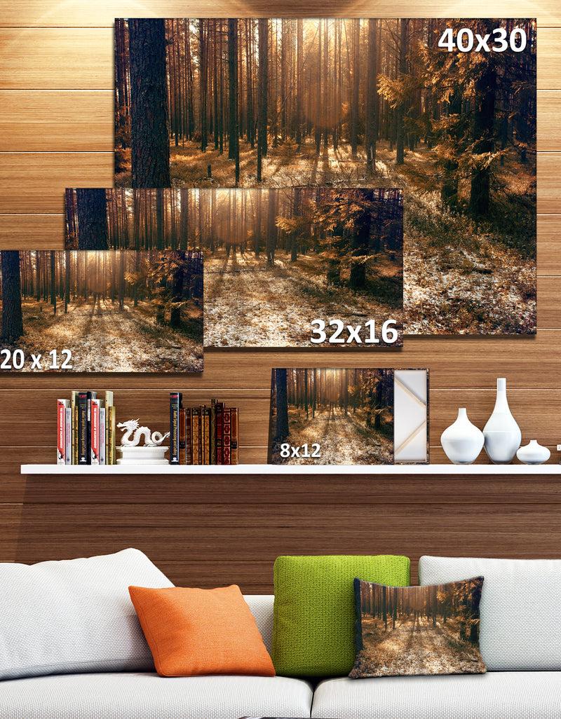 DesignQ Road In Dark Wooded Forest - Modern Forest Canvas Art