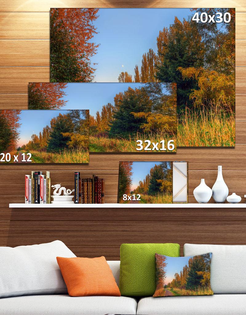 DesignQ Road Through Fall Forest - Extra Large Landscape Art Canvas