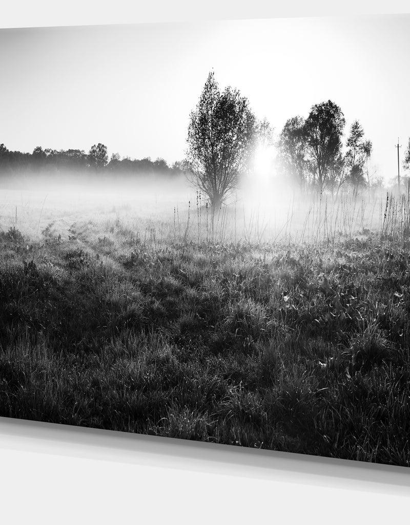 DesignQ Rural Meadow In Mist - Extra Large Landscape Canvas Art Print