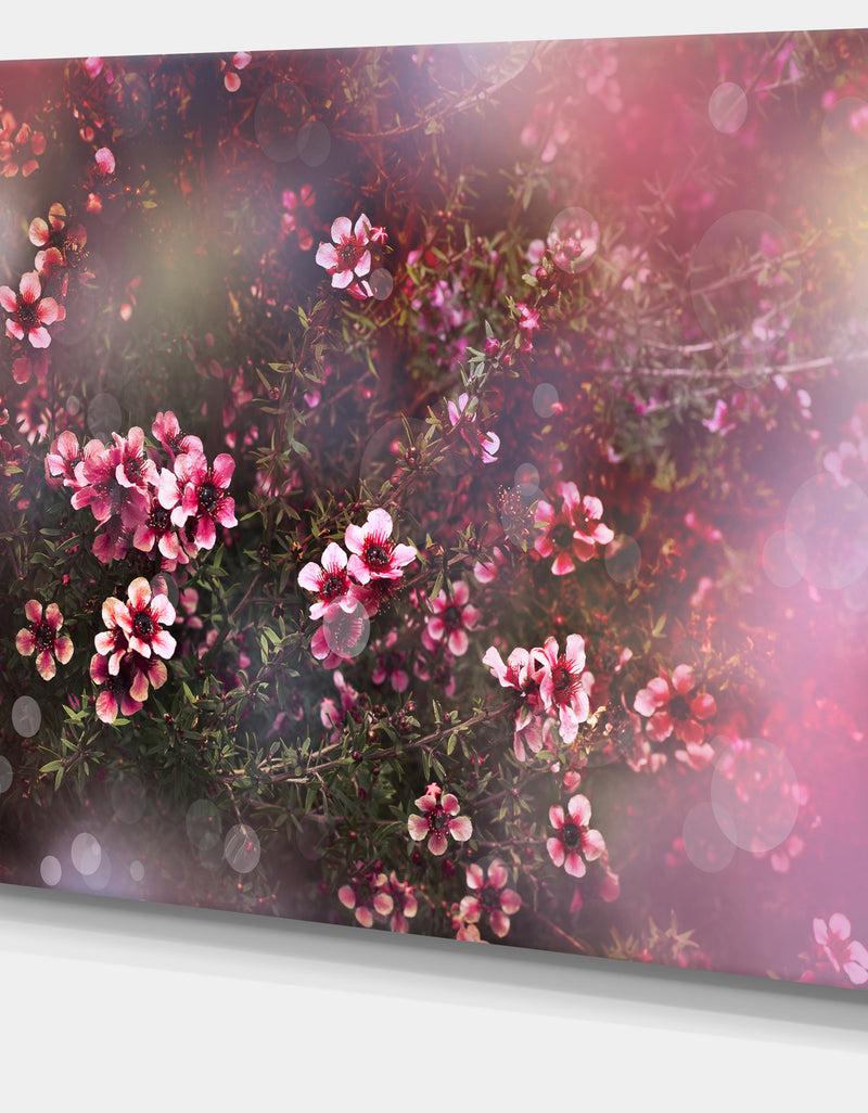 DesignQ Sakura Japanese Cherry - Photography Floral Canvas Print