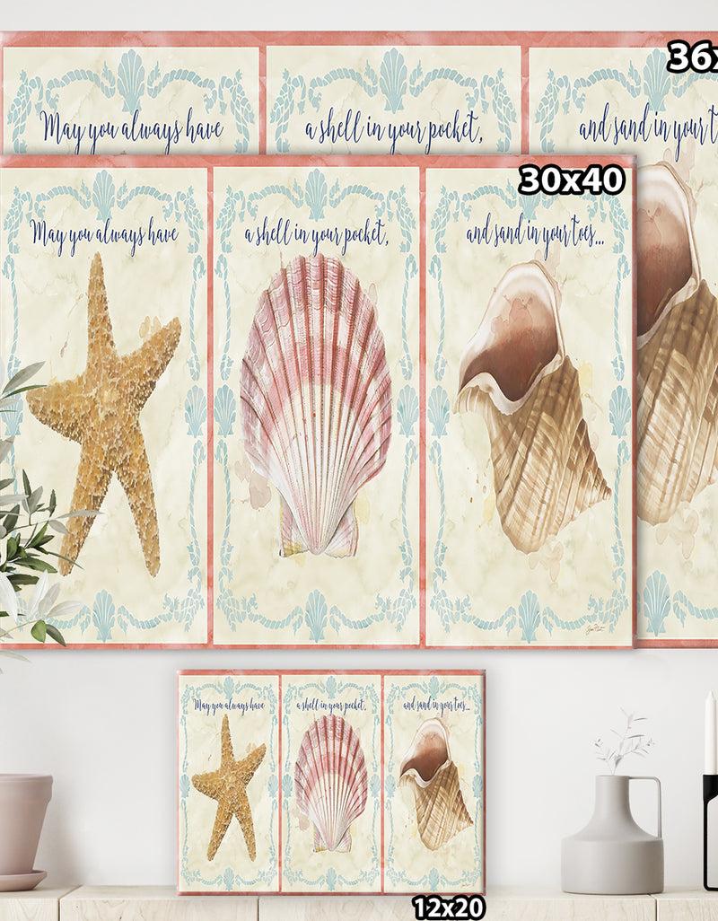 DesignQ Sea Shells-E - Cottage Premium Canvas Wall Art