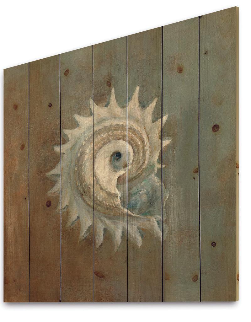 DesignQ Seashell Treasures From The Sea III - Nautical & Coastal Print On Natural Pine Wood