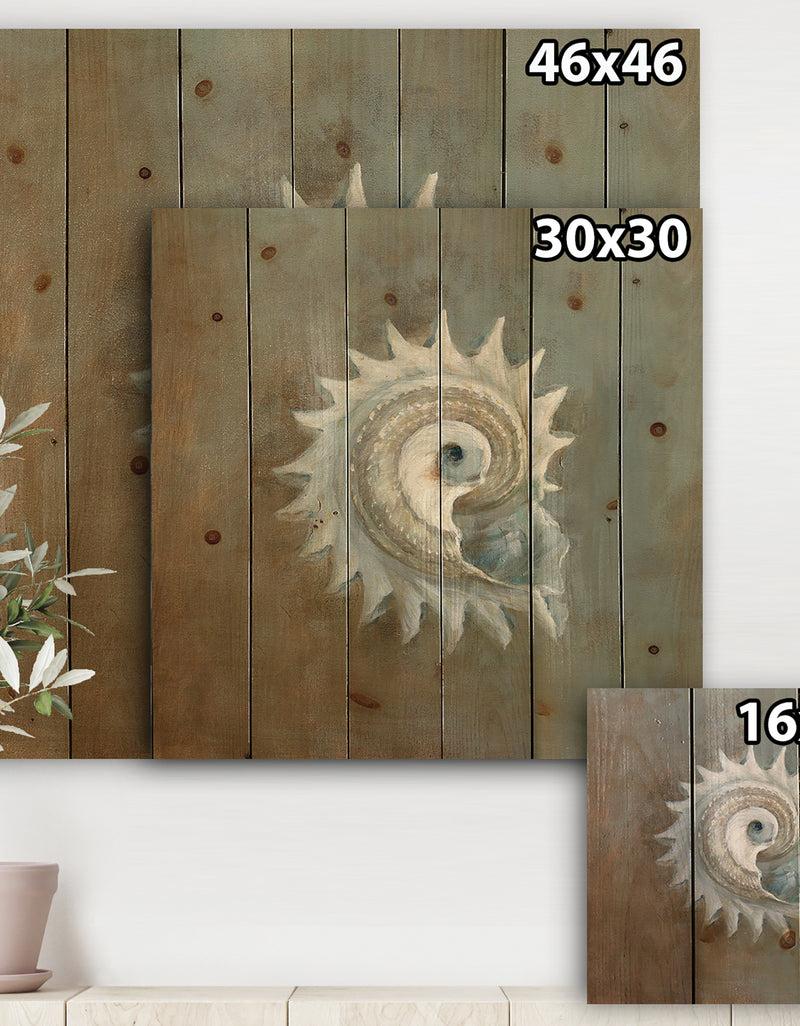 DesignQ Seashell Treasures From The Sea III - Nautical & Coastal Print On Natural Pine Wood
