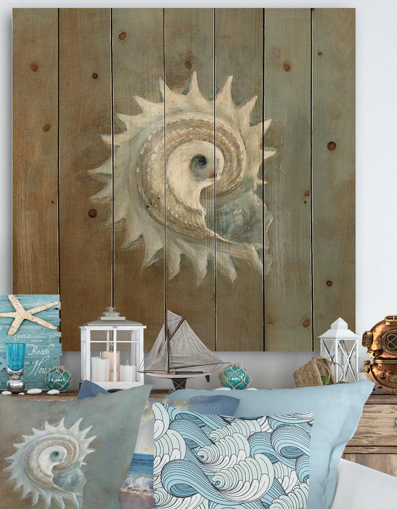DesignQ Seashell Treasures from the Sea III - Nautical & Coastal Print on Natural Pine Wood