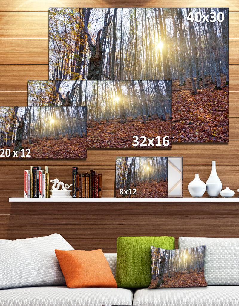 DesignQ Setting Sun In Dense Fall Forest - Modern Forest Canvas Art