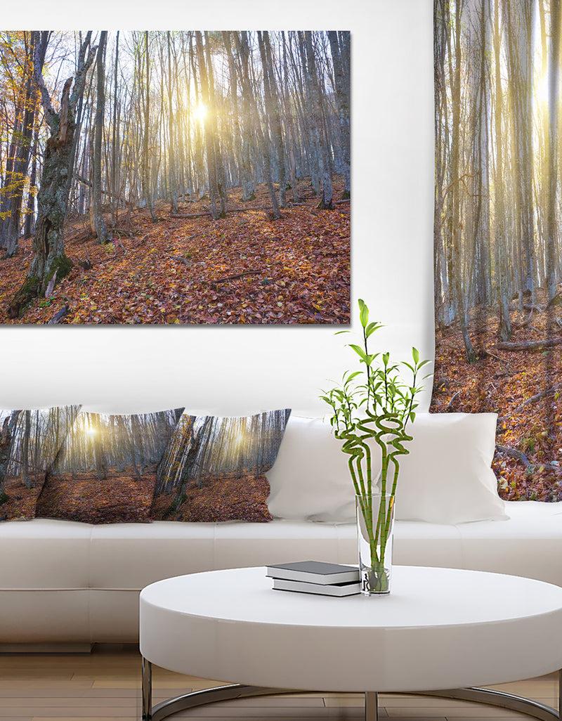 DesignQ Setting Sun in Dense Fall Forest - Modern Forest Canvas Art