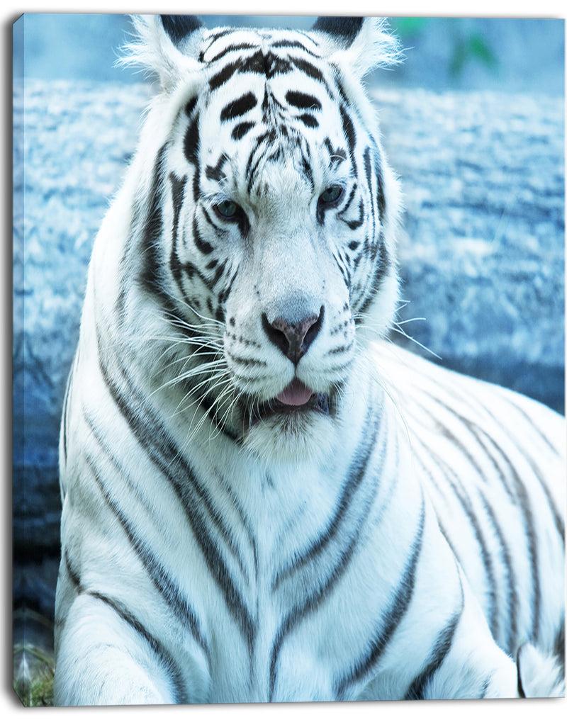 DesignQ Silver Tiger With Water Background - African Canvas Artwork