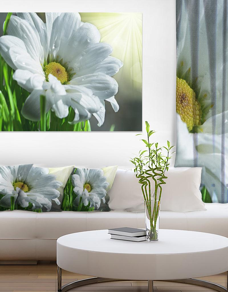DesignQ Single Beautiful Daisy Flower - Large Flower Wall Artwork