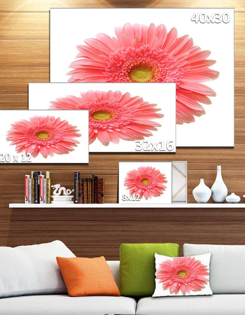 DesignQ Single Daisy On White Background - Modern Floral Wall Artwork