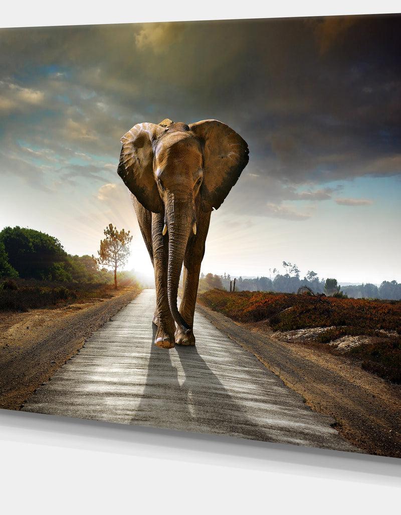 DesignQ Single Walking Elephant - Photography Canvas Art Print