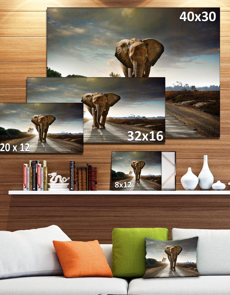 DesignQ Single Walking Elephant - Photography Canvas Art Print