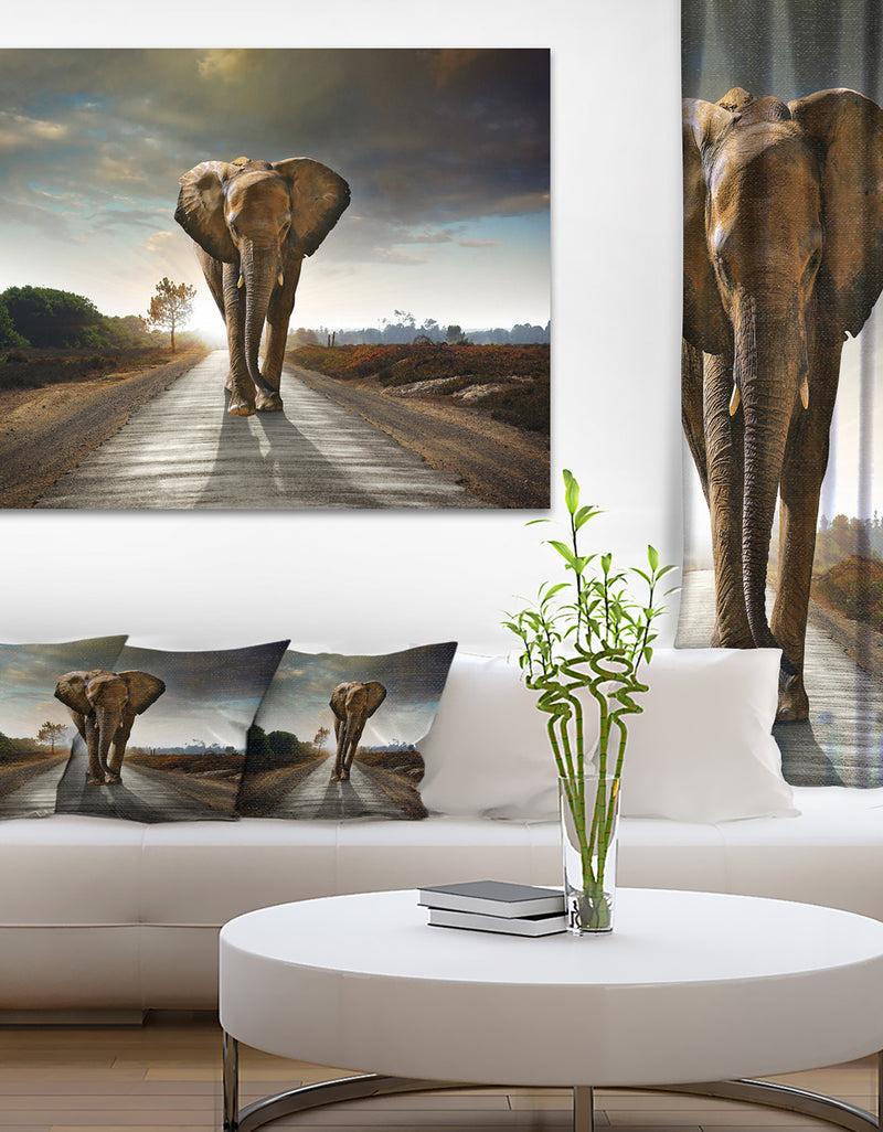DesignQ Single Walking Elephant - Photography Canvas Art Print