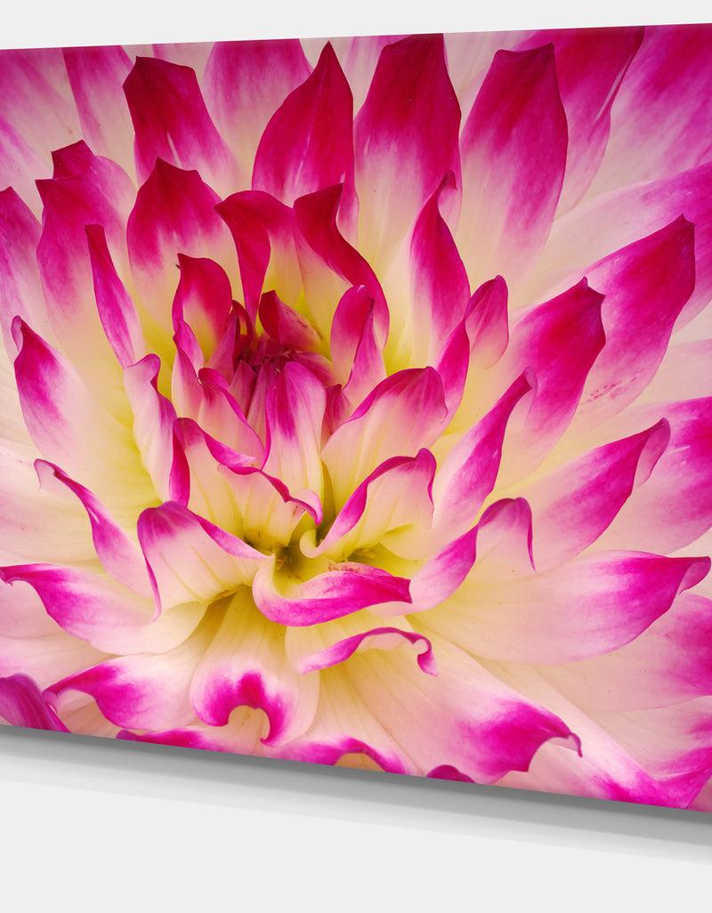 DesignQ Smooth Purple White Flower Petals - Modern Floral Canvas Wall Art