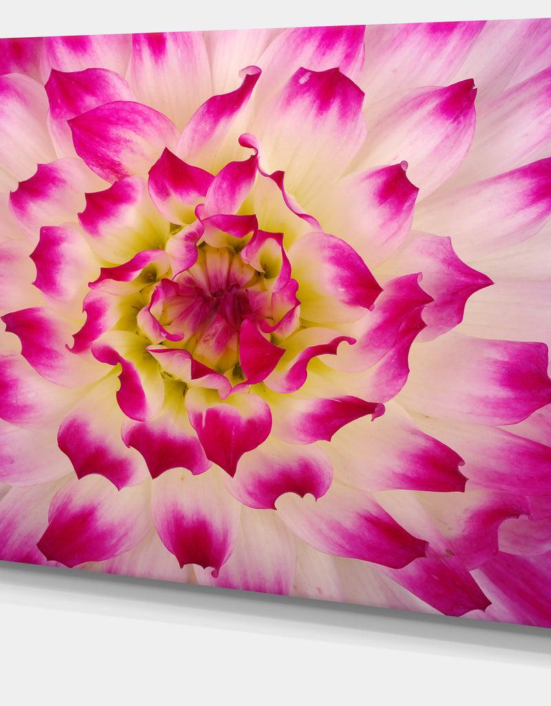 DesignQ Smooth White Rose Flower Petals - Modern Floral Canvas Wall Art