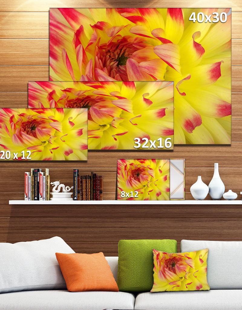 DesignQ Smooth Yellow Red Flower Petals - Extra Large Floral Canvas Art