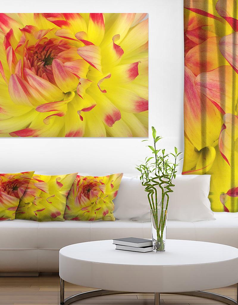 DesignQ Smooth Yellow Red Flower Petals - Extra Large Floral Canvas Art