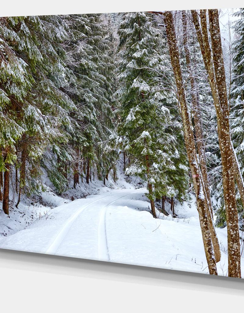DesignQ Snowy Road In The Forest - Modern Landscpae Wall Art
