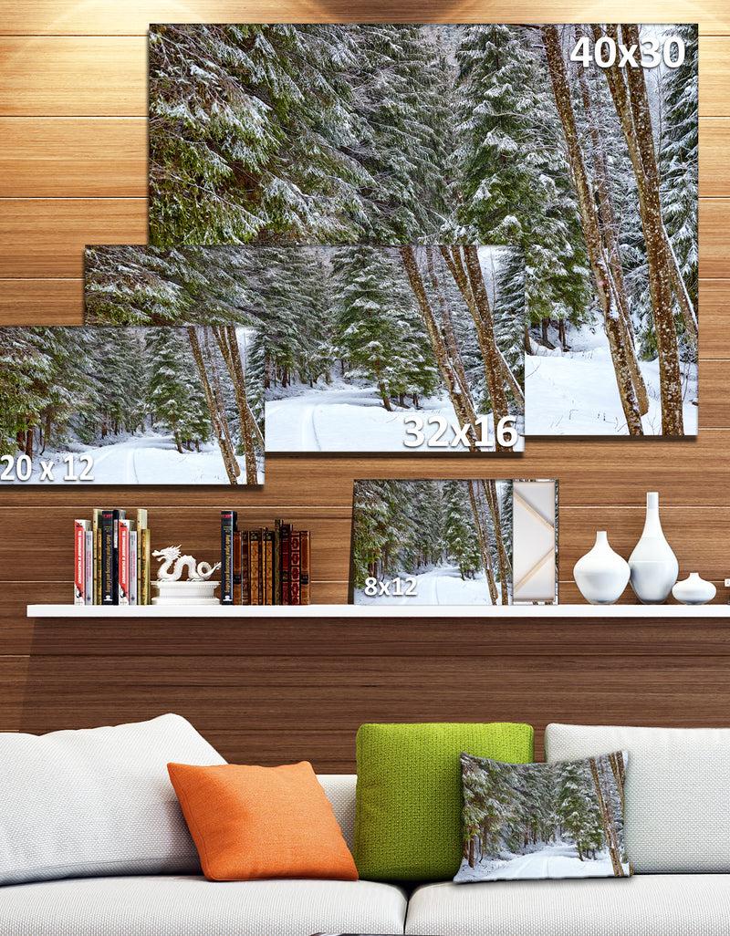 DesignQ Snowy Road In The Forest - Modern Landscpae Wall Art
