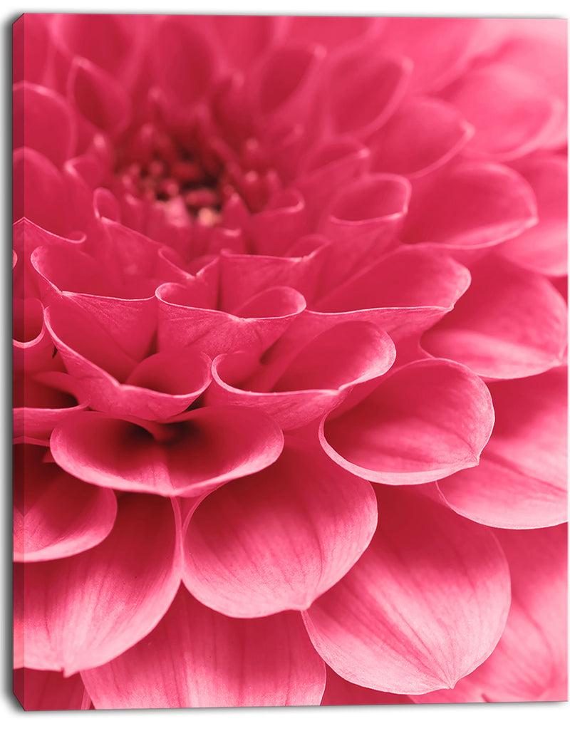 DesignQ Soft Rose Abstract Flower Petals - Modern Floral Canvas Wall Art