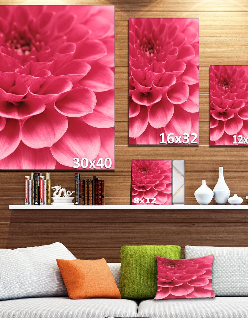 DesignQ Soft Rose Abstract Flower Petals - Modern Floral Canvas Wall Art