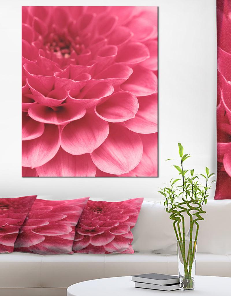 DesignQ Soft Rose Abstract Flower Petals - Modern Floral Canvas Wall Art