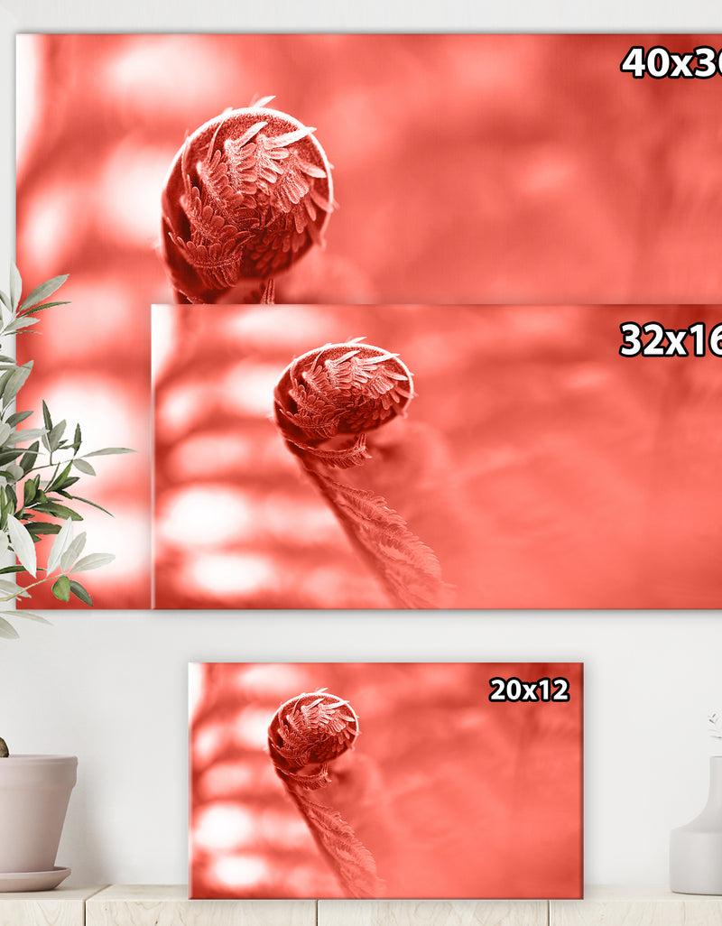 DesignQ Spiral Of Young Fern In Spring Close-up - Tropical Canvas Wall Art