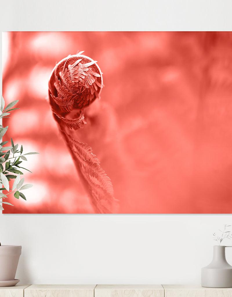 DesignQ Spiral of young fern in spring close-up - Tropical Canvas Wall Art