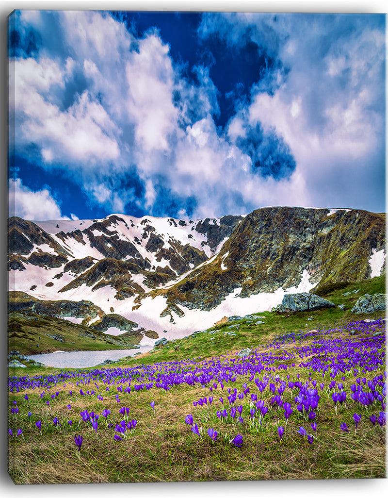 DesignQ Spring Blooming Crocus Flowers - Landscape Art Print Canvas