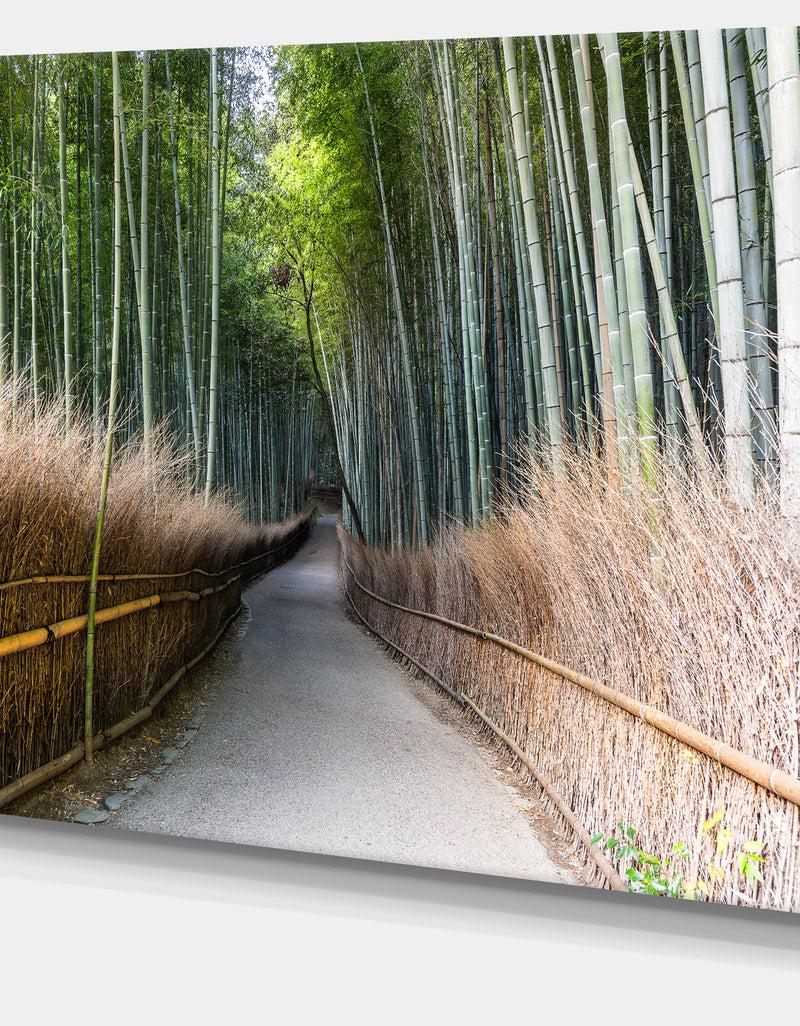 DesignQ Straight Path In Bamboo Forest - Forest Canvas Wall Art Print