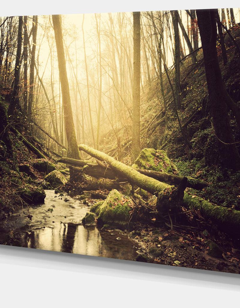 DesignQ Stream In The Dark Wild Forest - Large Forest Wall Art Canvas