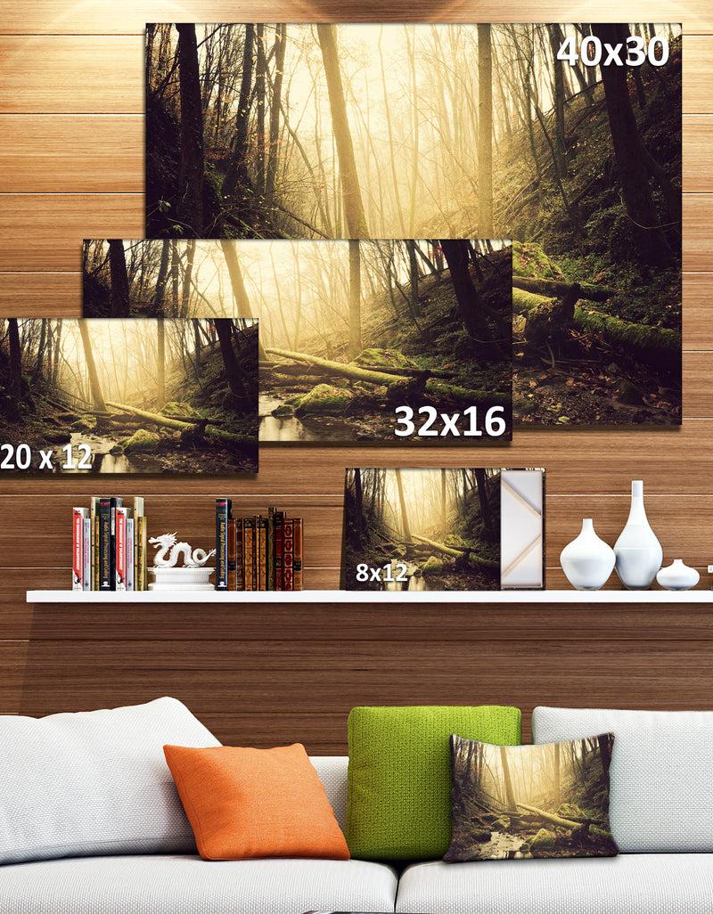 DesignQ Stream In The Dark Wild Forest - Large Forest Wall Art Canvas
