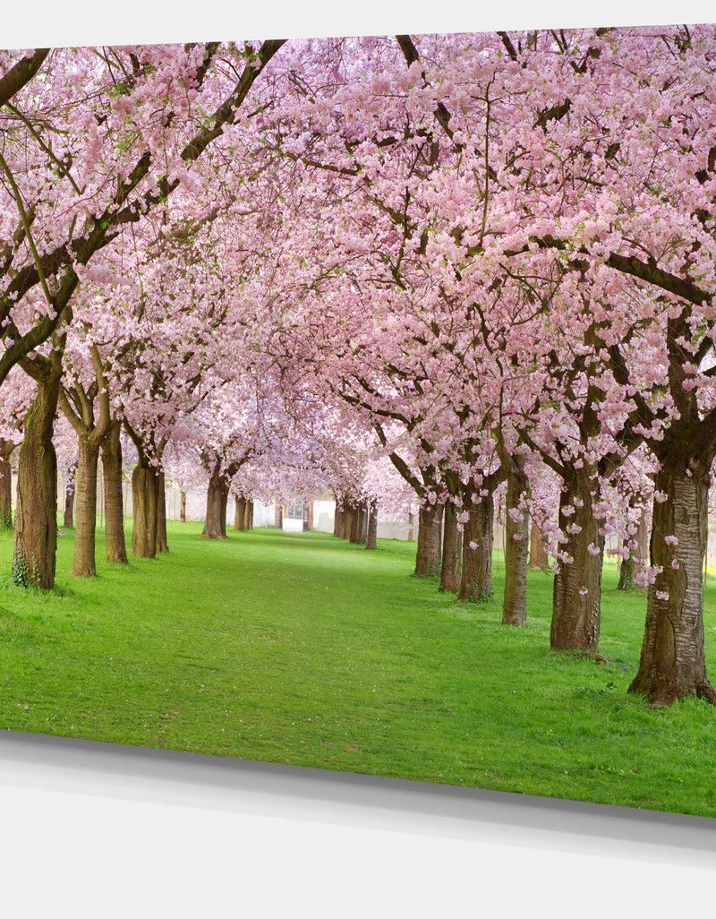 DesignQ Stunning Cherry Blossoms Plenitude - Landscape Art Print Canvas